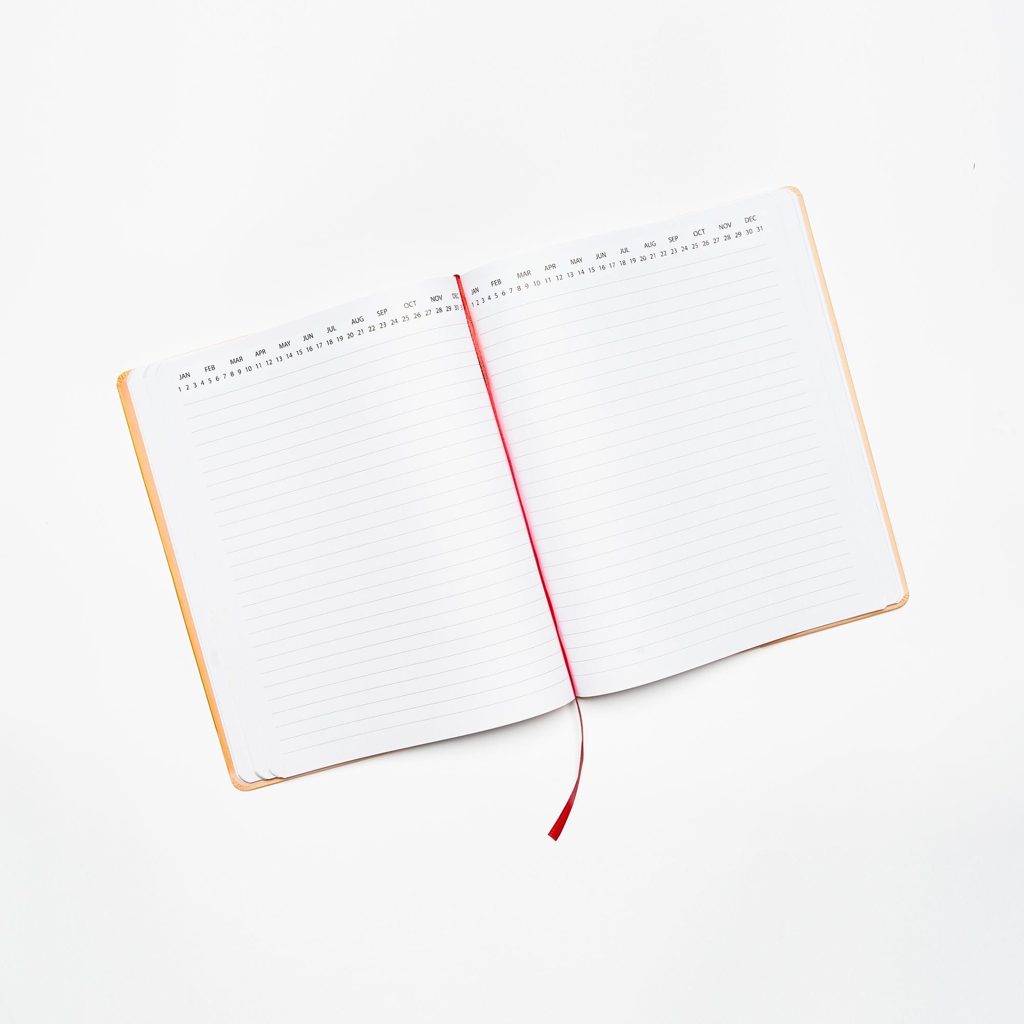 Be Rooted  black owned stationery Bundle Rooted in Intention Bundle