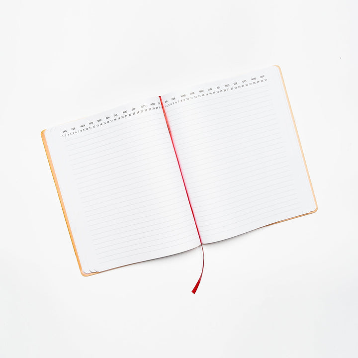 Be Rooted  black owned stationery Bundle Rooted in Intention Bundle