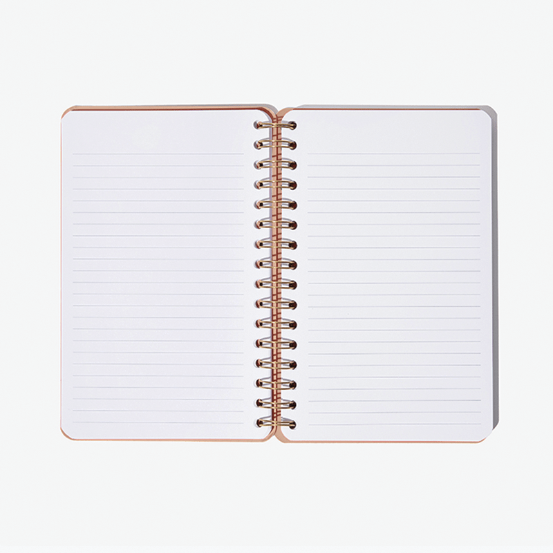 Be Rooted Co black owned stationery Journal lead with passion lined spiral journal